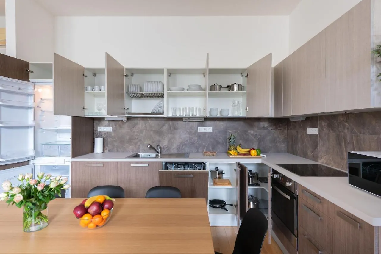 Spacious Apartments Near The River Prague